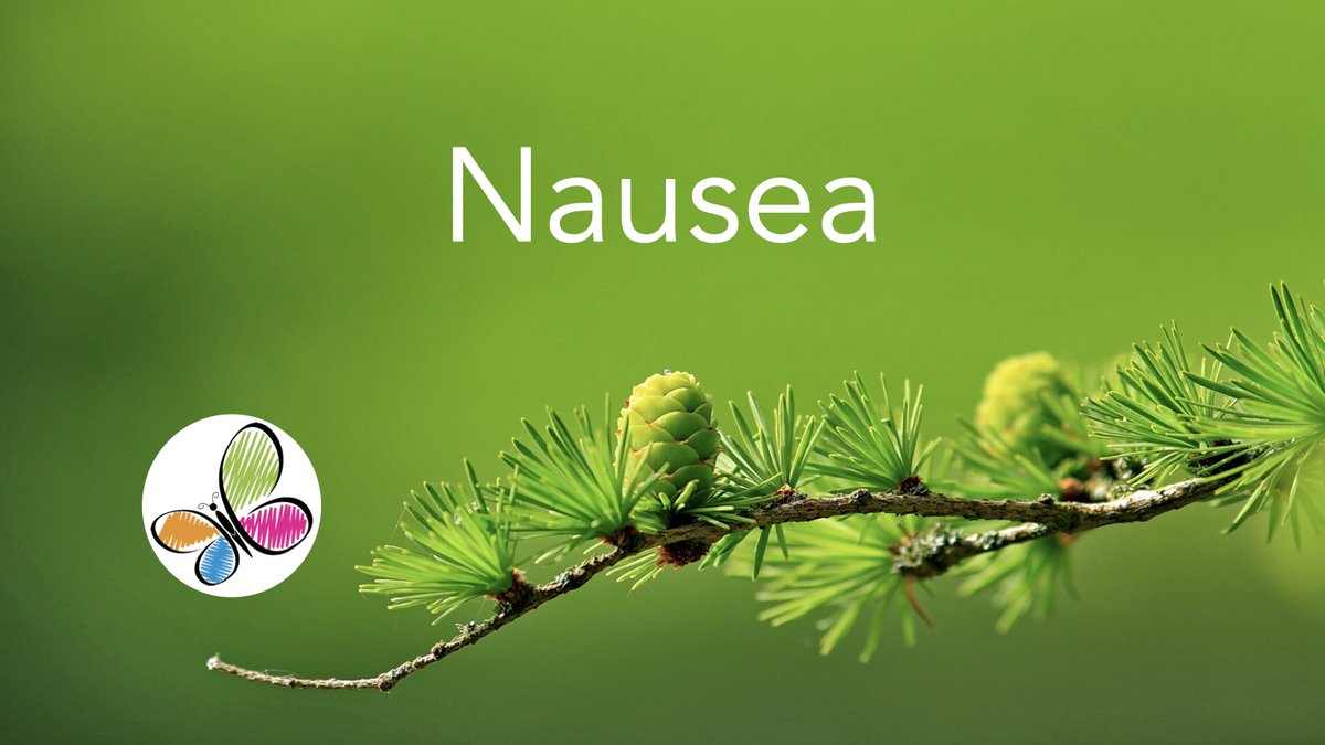 flowsforlife's tweet photo. Get relief from nausea with Jin Shin Jyutsu. New blog post with video.   https://t.co/DsedYQ6qGS    #jinshinjyutsu https://t.co/aBVXA4wOUA