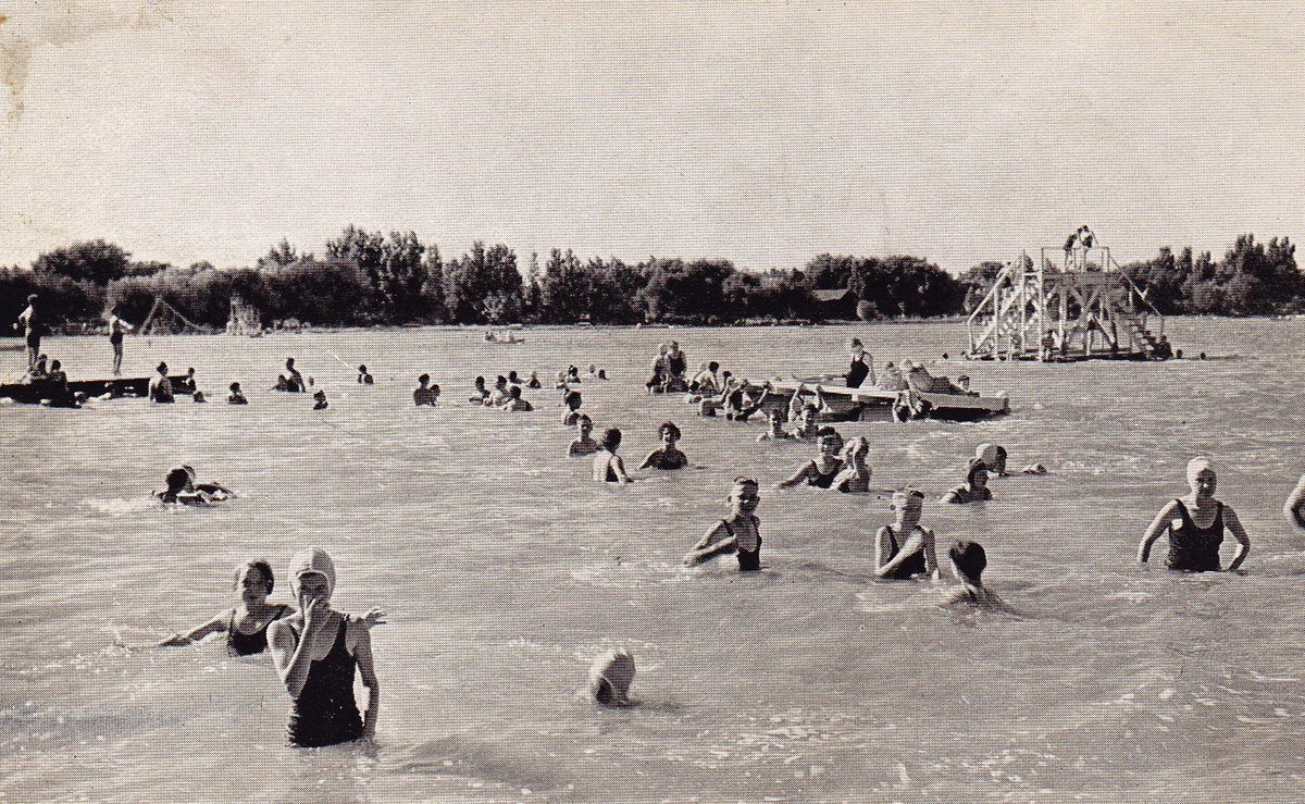 Wauconda Area Public Library tweet media