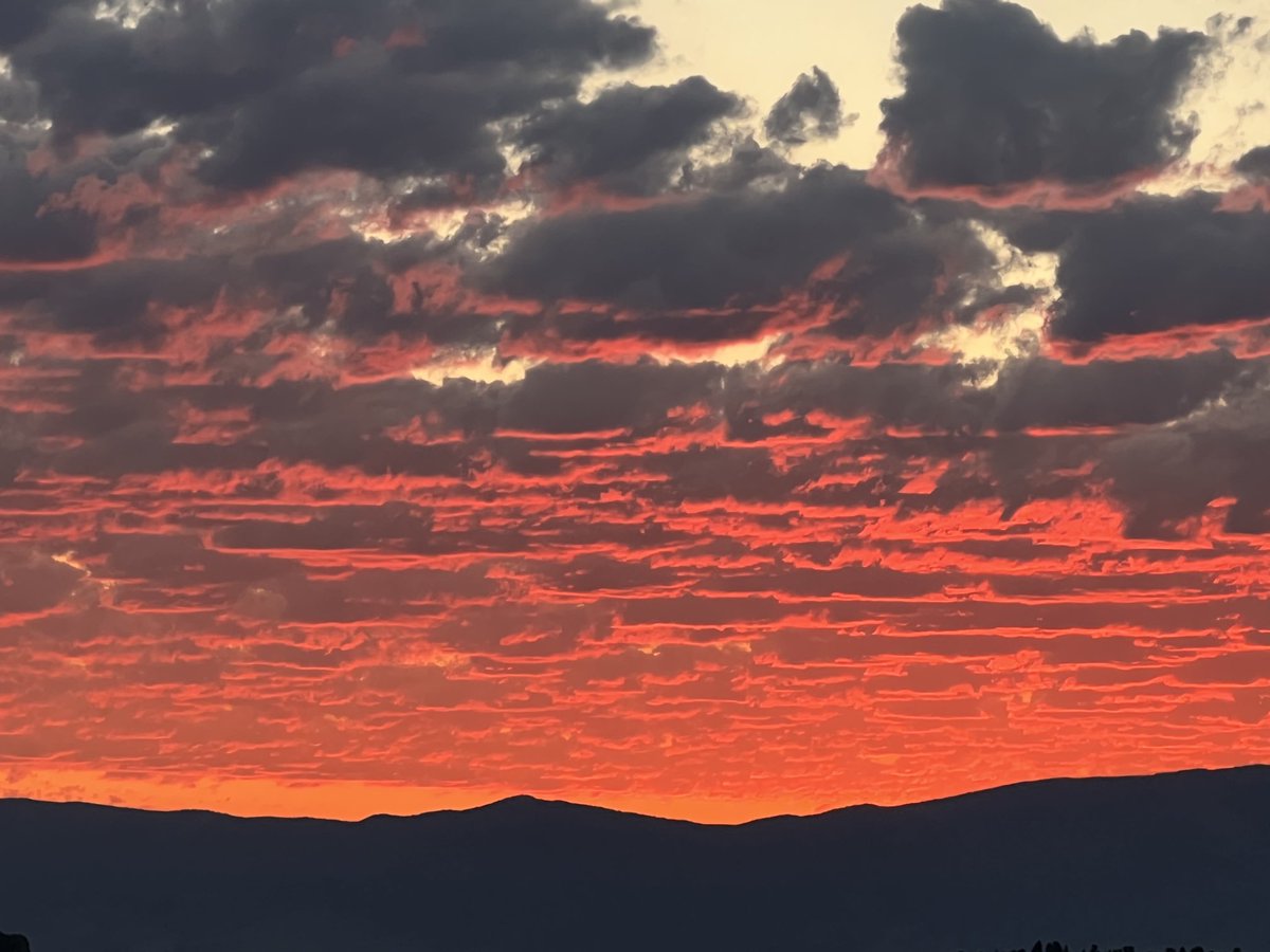 Gorgeous Montana sunrise today!