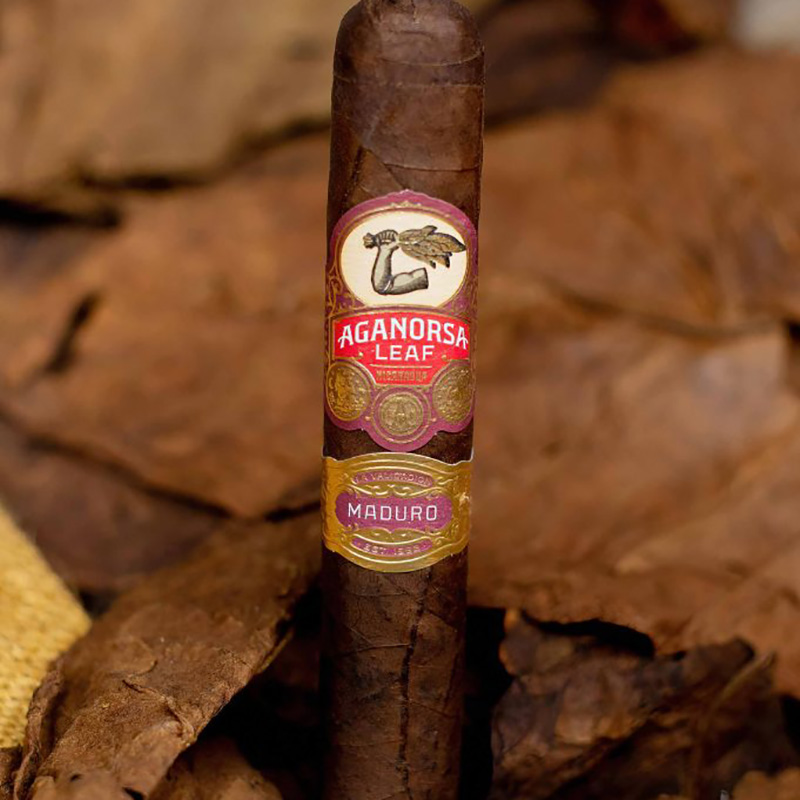 Burns Tobacconist tweet media