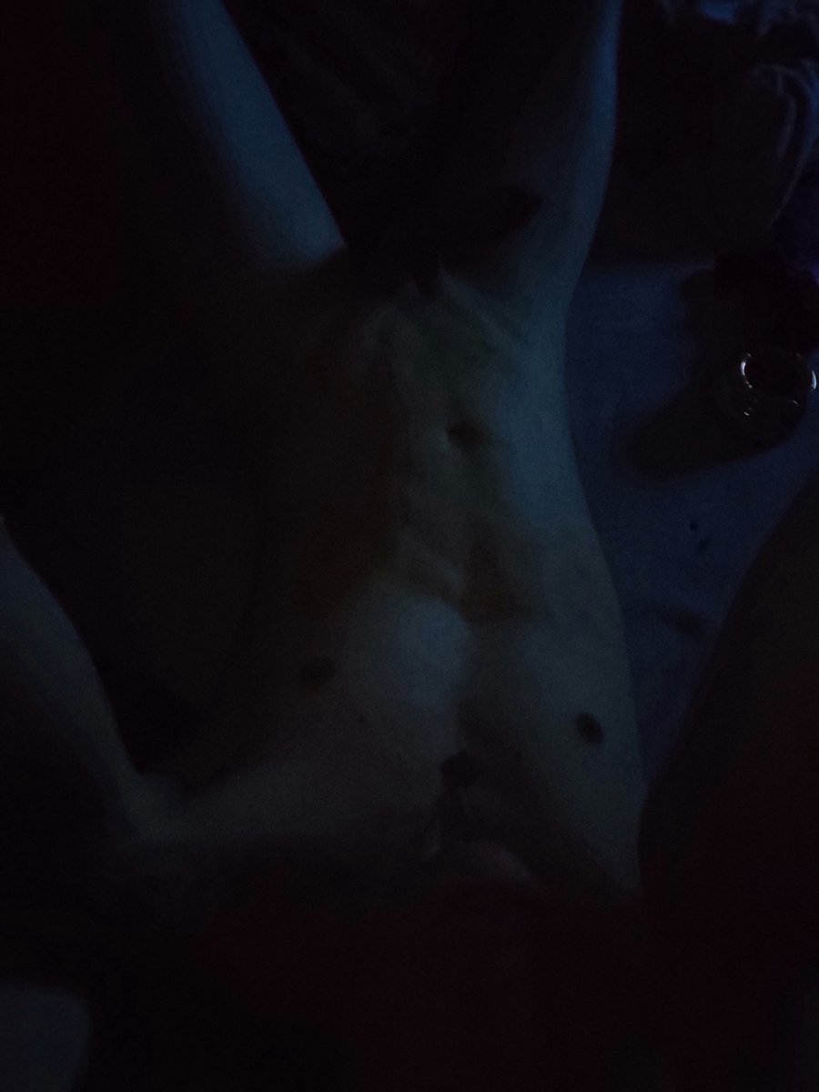 xbixboyx's tweet photo. Who can find my little friend? 🥵 🍆 😍 😈 😜 😉
 -
 -
 -
 -
 -
#twink #twinks #twinkboy #hot #bi #onlyfans #new #sexy #fyp #cute #man #bdsm #sub #dom #fetish #kinky #whip #socks #socksfetish #socksboy #feetfetishgang #feet #feetmodels #bathtube https://t.co/GxrsLCsKeb
