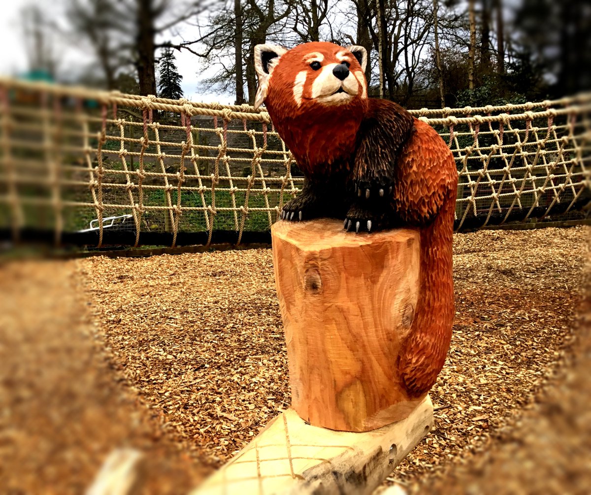 Flights of Fantasy tweet media