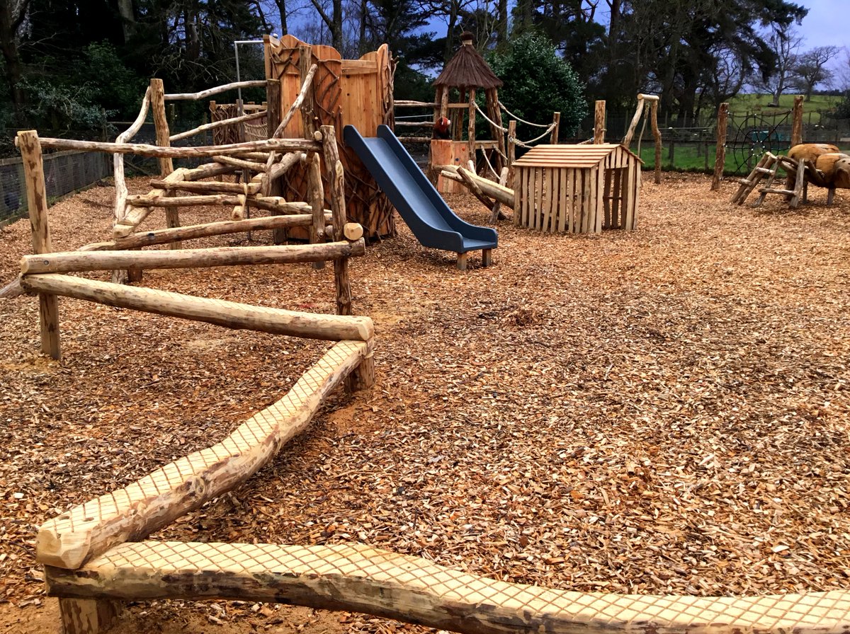 Flights of Fantasy tweet media