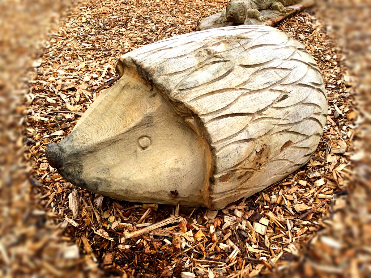 Flights of Fantasy tweet media