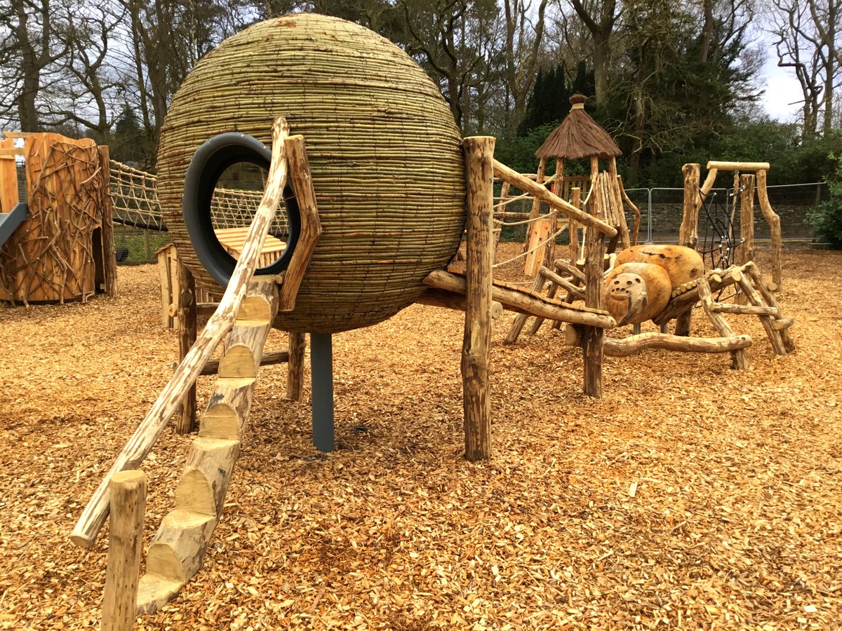 Flights of Fantasy tweet media