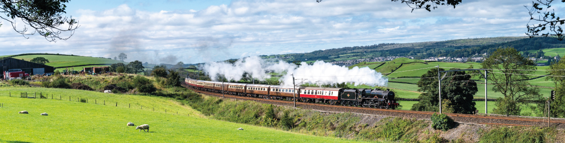 The Royal Windsor Steam Express tweet media