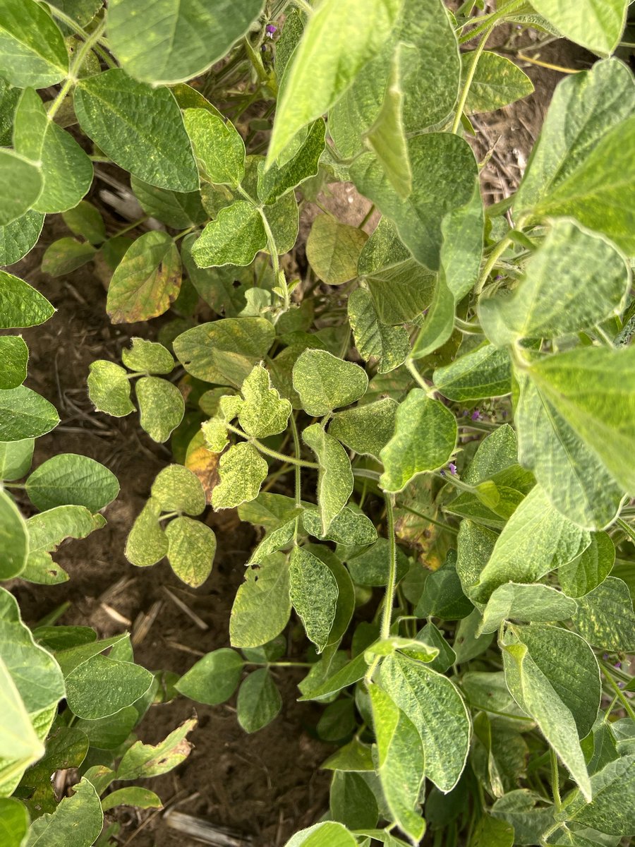 Jim Donnelly tweet media