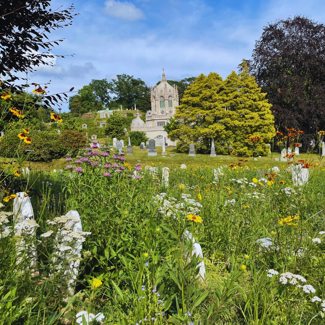 We’re pleased to welcome The Green-Wood Cemetery as the latest partner in our Pathways to PRFCT program. Learn more about their nature-based initiatives in our latest newsletter: mailchi.mp/perfectearthpr… 📸: Stacy Locke @GreenWoodHF