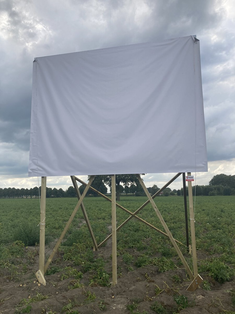 Gemeente Land van Cuijk tweet media