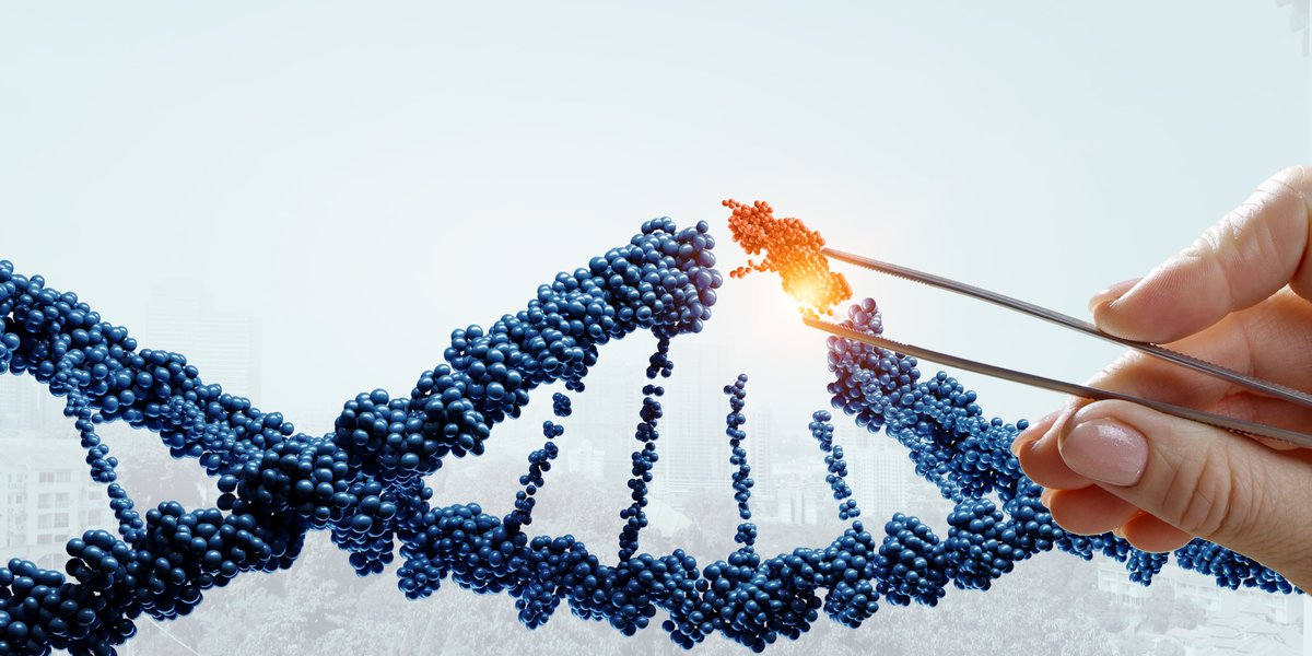 MPI_EVA_Leipzig's tweet photo. New method increases efficiency, precision and reliability of DNA editing. It was developed by a team led by Stephan Riesenberg @MPI_EVA_Leipzig and is likely to have many applications in basic research. @naturemethods See: https://t.co/MNOv8MYtKw &amp; https://t.co/nuTMDbvMej https://t.co/3MAR7s4rRB