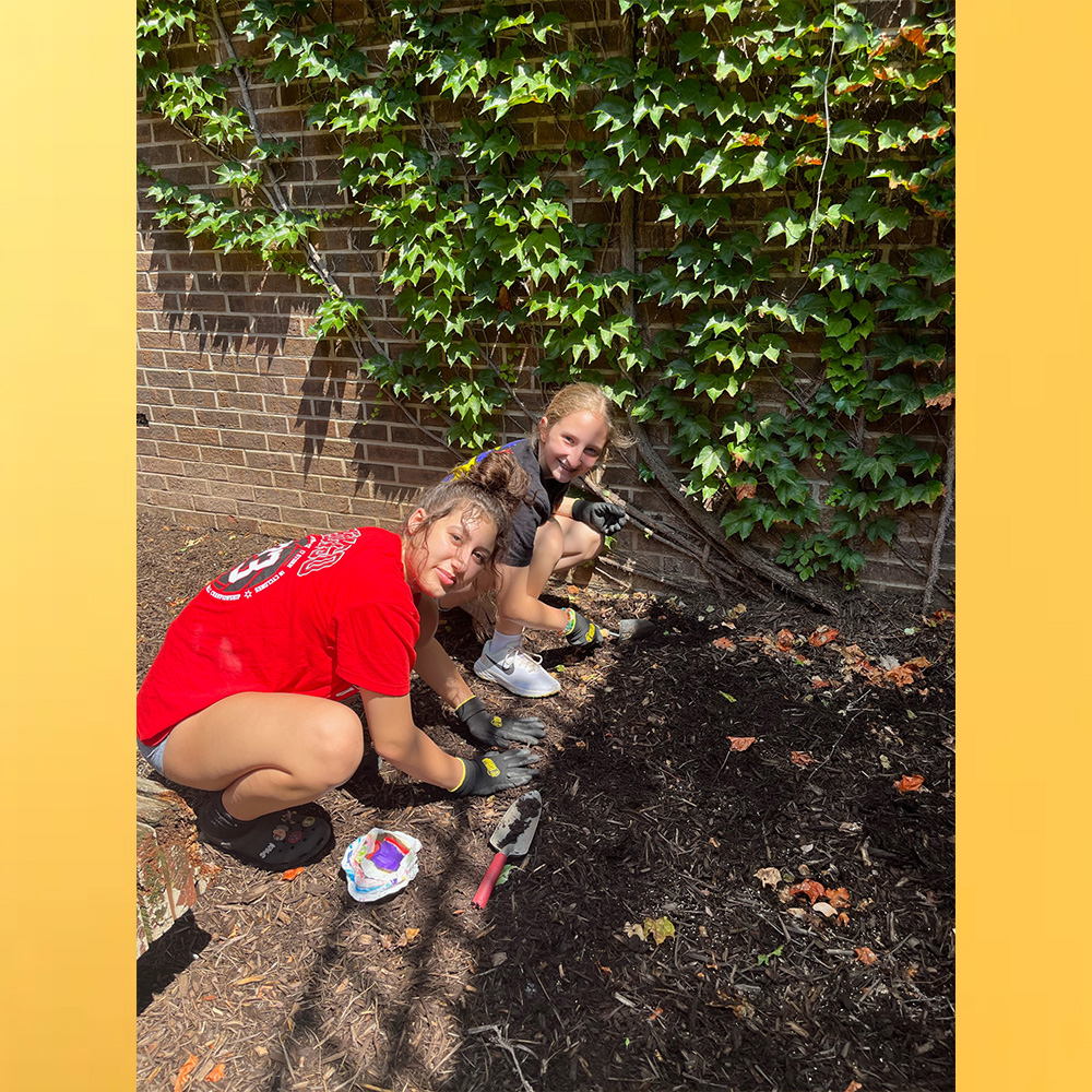 White Oak Library District tweet media