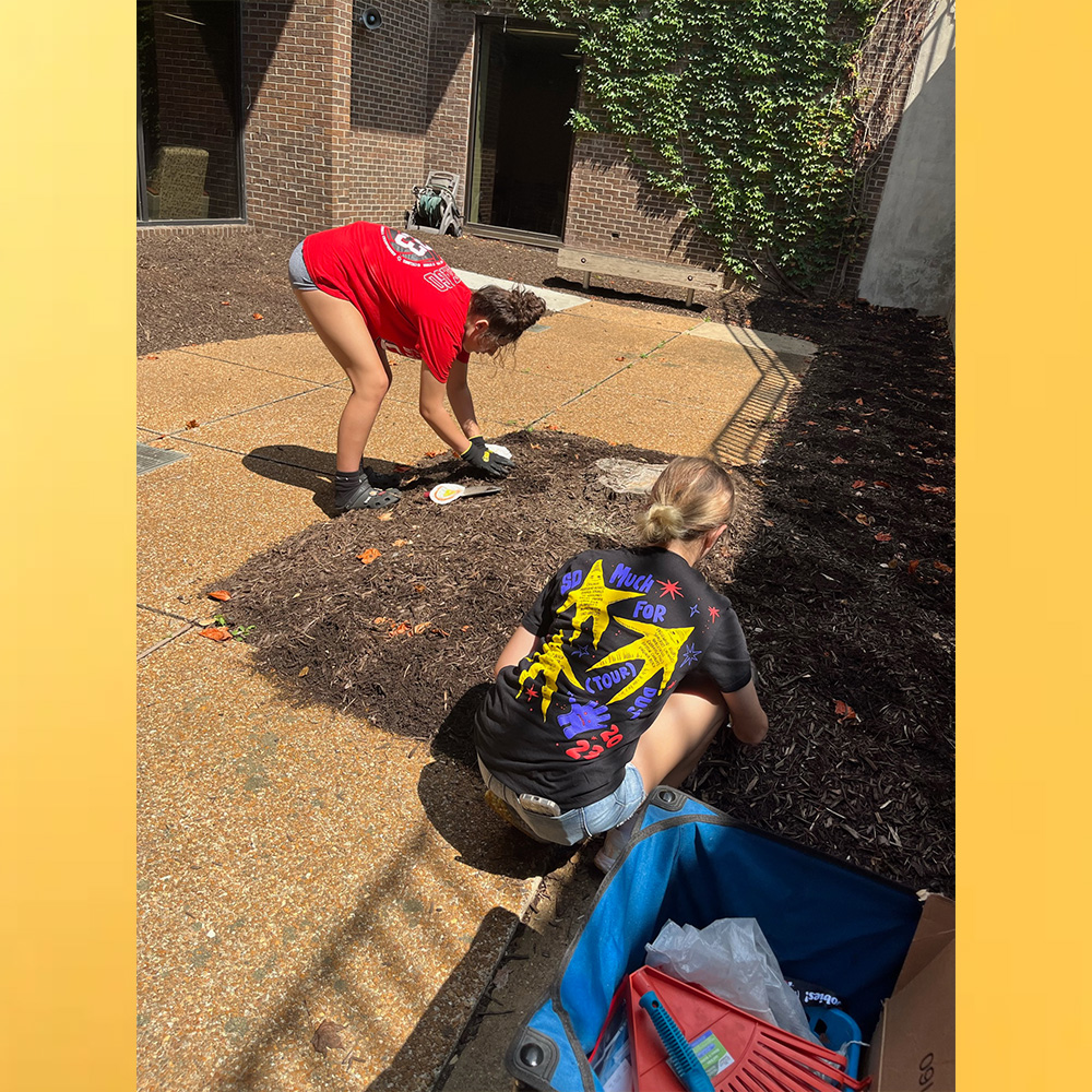 White Oak Library District tweet media