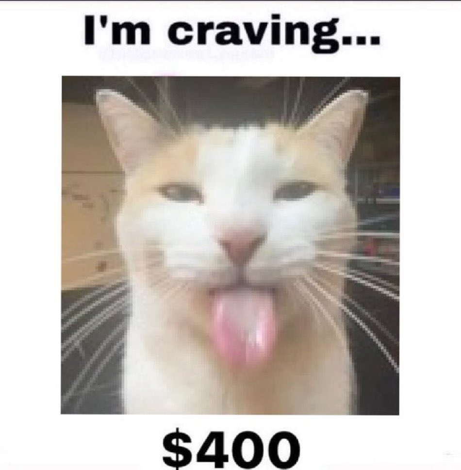 LiterallyMeCats tweet media