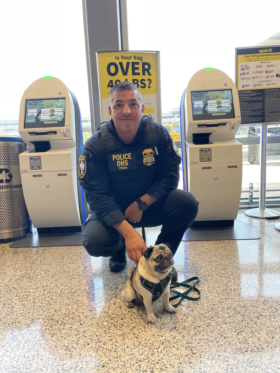 Tsa_SouthWest's tweet photo. This morning @AUStinAirport has gone to the #dogs and #cats Travelers can learn about pet safety, traveling with pets & even adopt a #kitten #austinanimals #Mr.Biggie https://t.co/7kMZfnSBtd