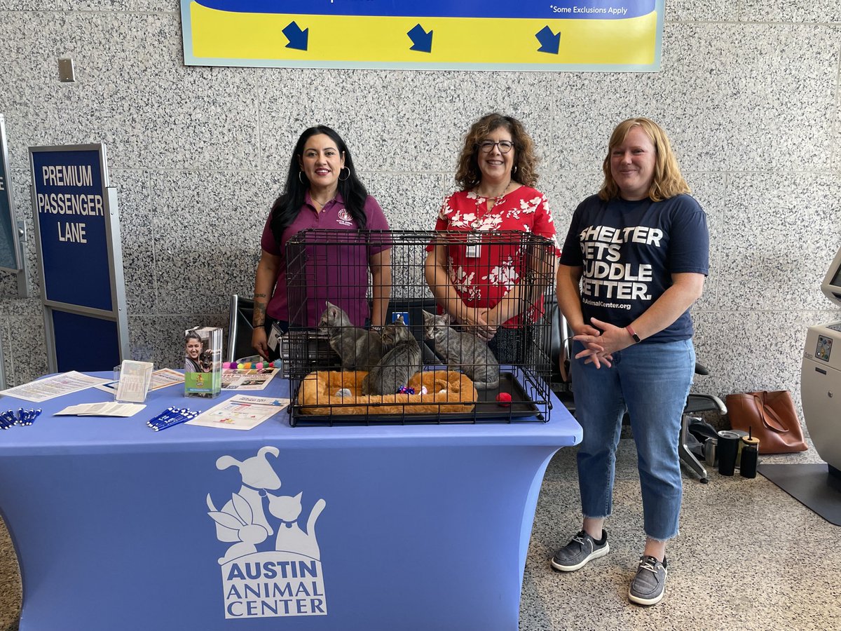 Tsa_SouthWest's tweet photo. This morning @AUStinAirport has gone to the #dogs and #cats Travelers can learn about pet safety, traveling with pets & even adopt a #kitten #austinanimals #Mr.Biggie https://t.co/7kMZfnSBtd