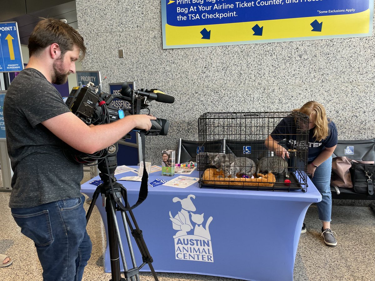 Tsa_SouthWest's tweet photo. This morning @AUStinAirport has gone to the #dogs and #cats Travelers can learn about pet safety, traveling with pets & even adopt a #kitten #austinanimals #Mr.Biggie https://t.co/7kMZfnSBtd