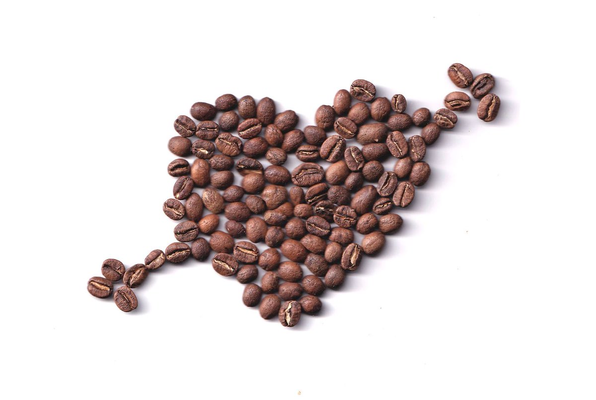 CafeCaterpillar's tweet photo. We adore you! https://t.co/RjClvwoLxa #followtheAUwhiterabbit #drinkcoffee #coffee #coffeetime #drinklocal #needcoffee https://t.co/yzVDxb7R3t