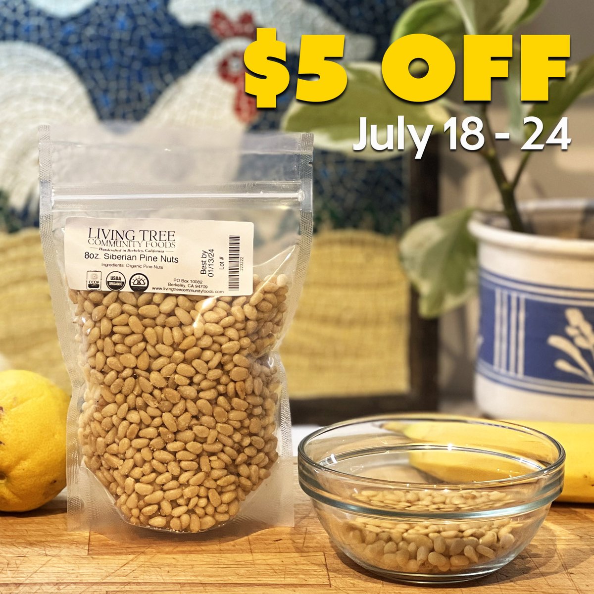 livingtree's tweet photo. $5 off this week!
Our raw, alive and organic pine nuts are wildcrafted from trees in a pristine wilderness, the Siberian taiga. This is the most extensive virgin forest in the world. They are high in protein.
Sale ends July 24th.
https://t.co/ifLgG9RE8O https://t.co/iUpv7JeVaR