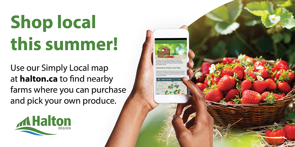RegionofHalton's tweet photo. Shop local in #HaltonON! Our #SimplyLocal online map makes it easy to find fresh seasonal produce, local farms that offer pick-your-own produce, nurseries with a variety of plants and garden centres near you. Learn more: https://t.co/l27nAz5WMj https://t.co/kbggyMVF87