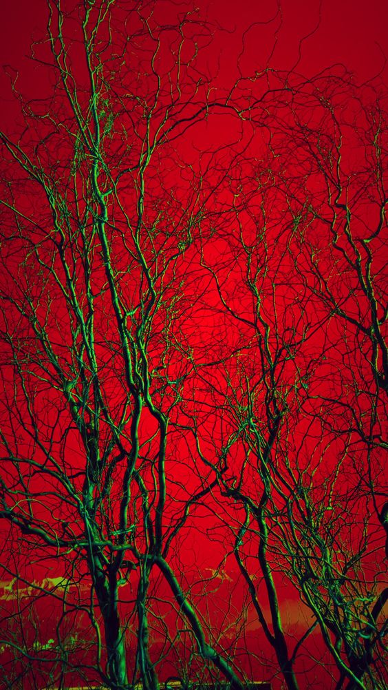 👼 에반게리온 AU 타입

 에반게리온에 태워드립니다

샘플은 포타 참고해주세요:) justf0ryou.postype.com