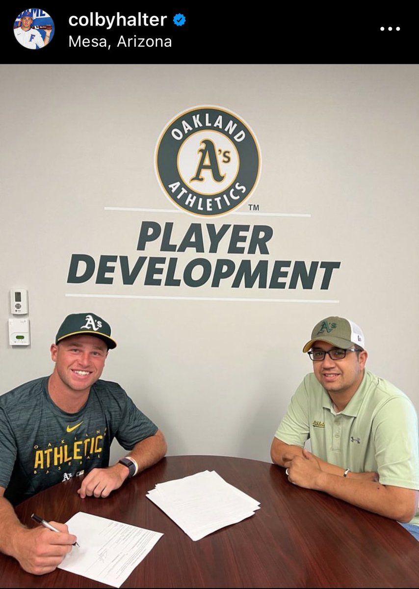 Andrew Gibson tweet media