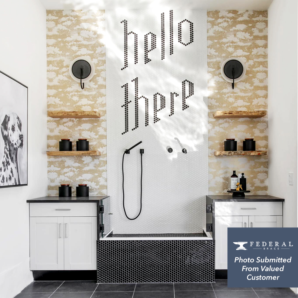 Federal Brace tweet media