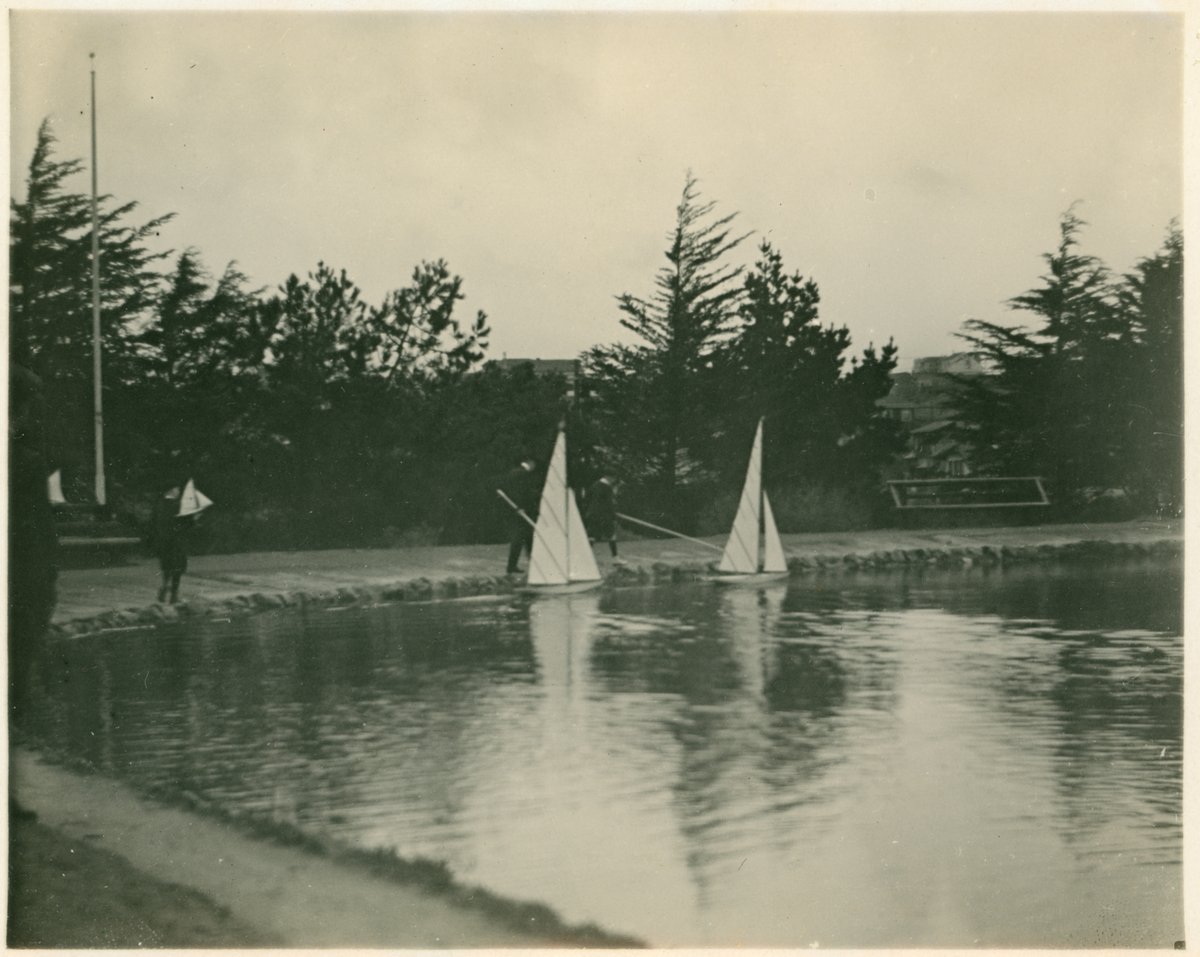 David Gallagher tweet media