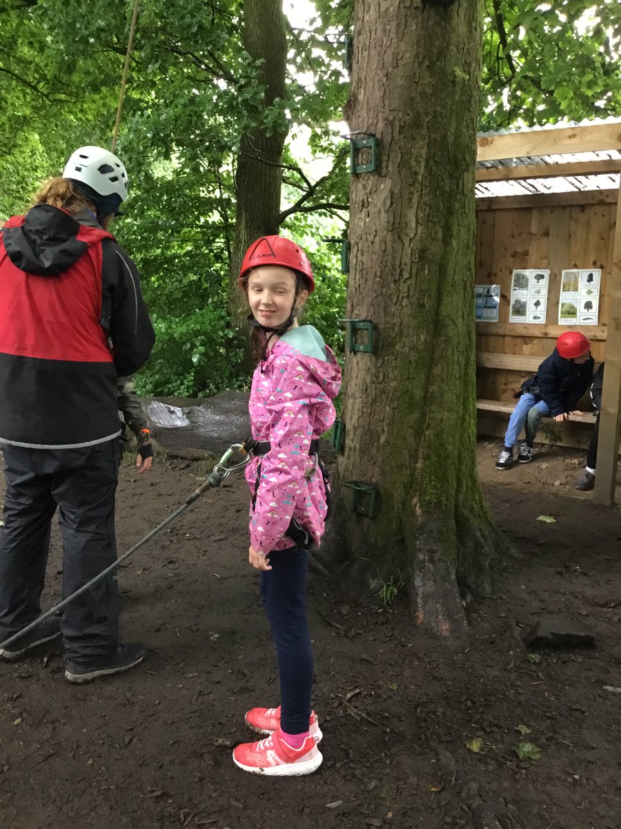 Mrs Ward tweet media