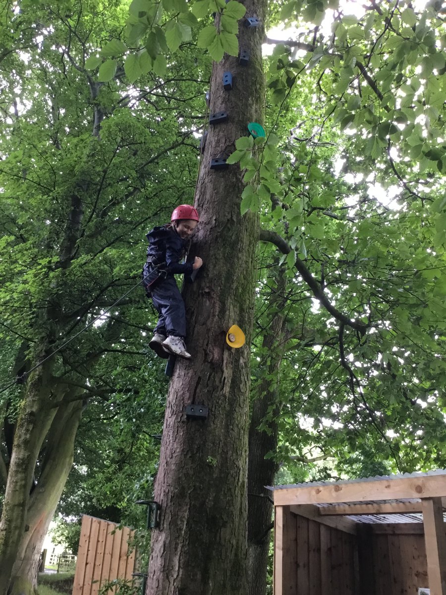 Mrs Ward tweet media