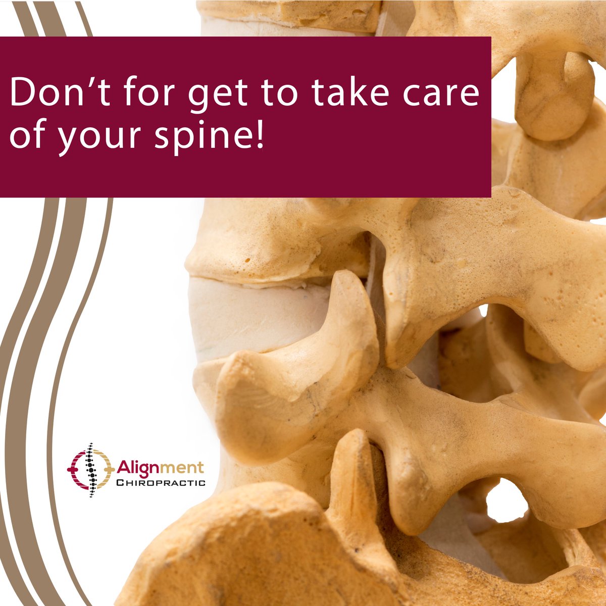 AlignmentChiro's tweet photo. You only have one spine, so be sure to take care of it!
#alignmentchiropractic #chiropractor #alignment #alignyourspine #alignyourhealth #alignyourlife #doctorofchiropractic #summerville #summervillechiropractor #chiropracticsummerville #wellness #health https://t.co/qk8pznvyEa