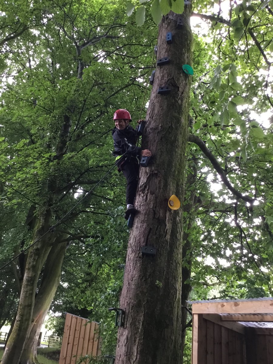 Mrs Ward tweet media