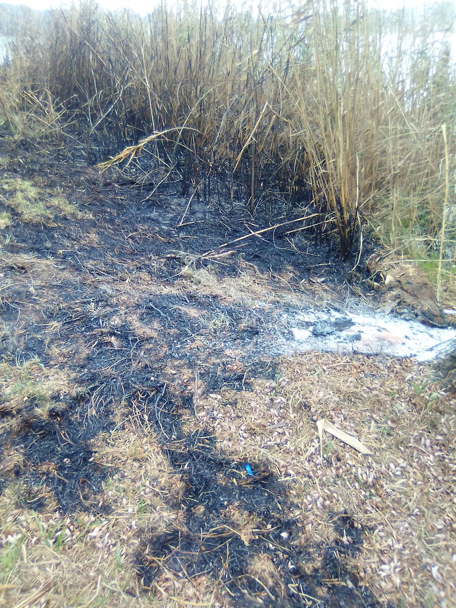 AfricanStory1's tweet photo. @JoburgParksZoo @SAParksandRec  My brother sent me this. I wish who ever is doing this must be arrested this is wrong. My brother did put out the fire. You can inbox me for his number . https://t.co/CoXUyeHyMt