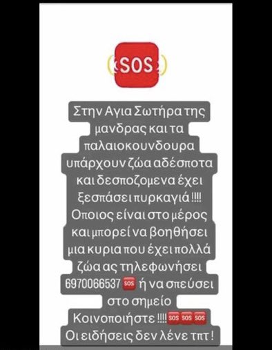 EmptyTheCages_'s tweet photo. #φωτιες #Μανδρα https://t.co/dJw8jbQpJ0