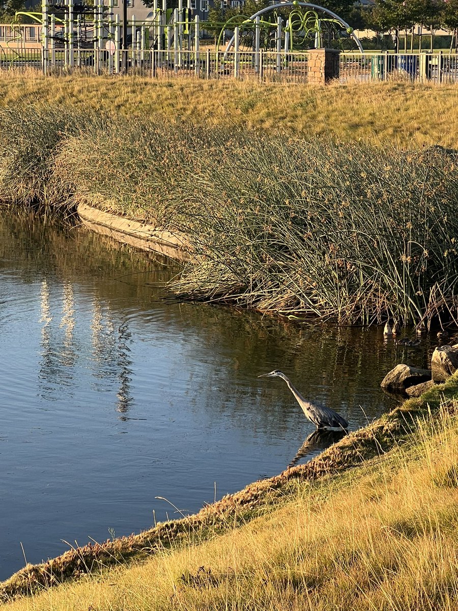 blocker4's tweet image. GM