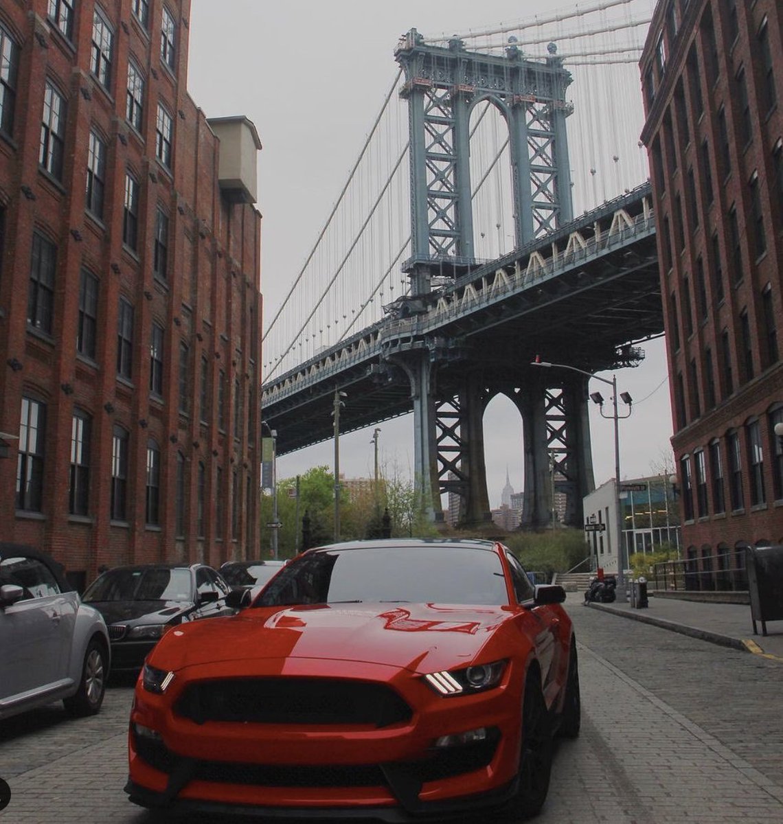 mullinax_ford's tweet photo. For the past 59 years, the Ford Mustang® has been an icon of the American Landscape. Own your piece of the American dream by stopping by Mullinax Ford today.  #MustangMonday #MullinaxFord https://t.co/I0Ovs5bnnw