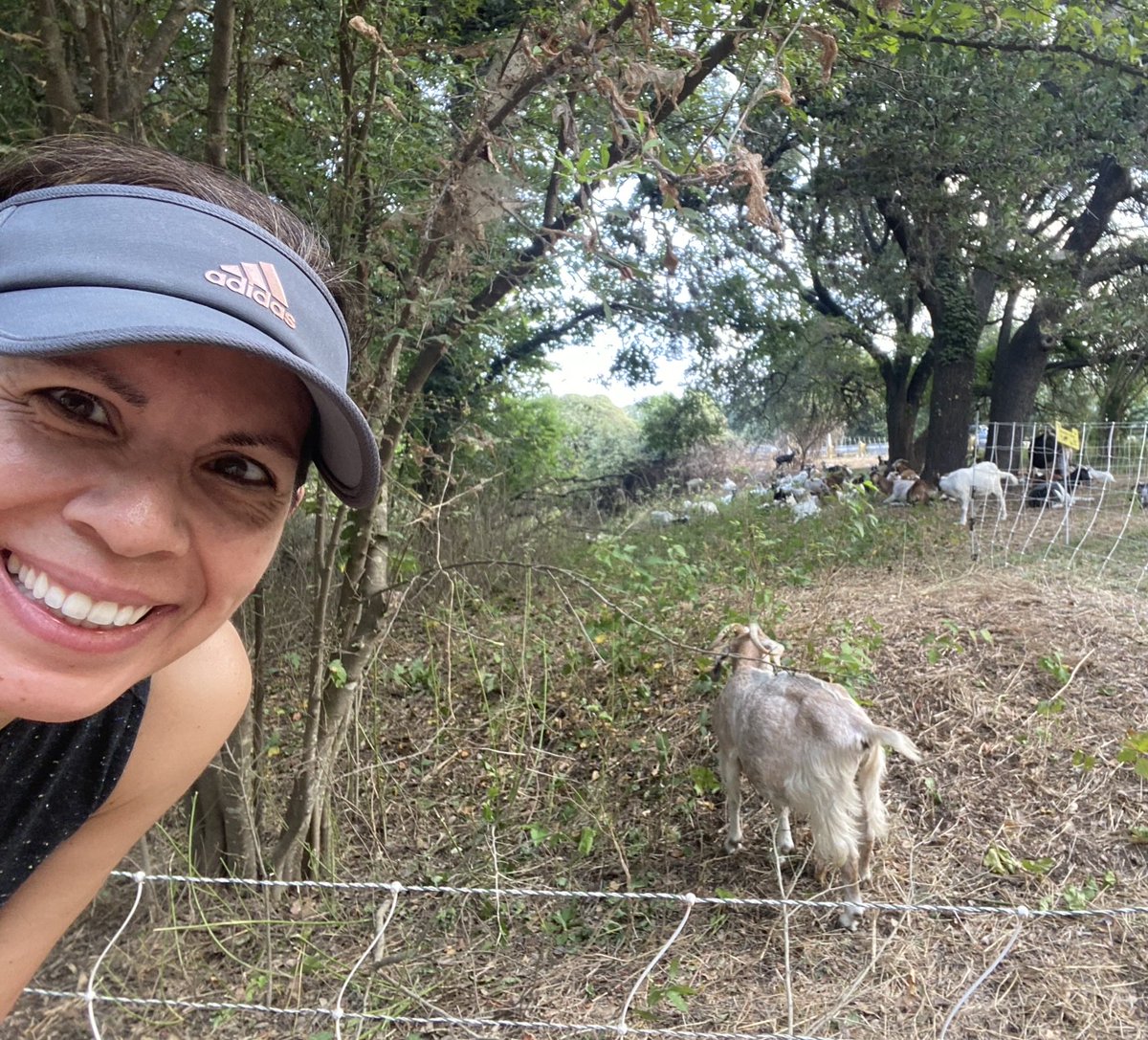 Adrianna Cantu (@adrianna_atx) on Twitter photo Love this town. Ran into an actual G.O.A.T. this am on #LadyBirdLake trail. 100+ of ‘em out here to help clear weeds! <a href="/TheTrailATX/">The Trail Conservancy</a> 🐐💕🤗 Love this town. Ran into an actual G.O.A.T. this am on #LadyBirdLake trail. 100+ of ‘em out here to help clear weeds! <a href="/TheTrailATX/">The Trail Conservancy</a> 🐐💕🤗