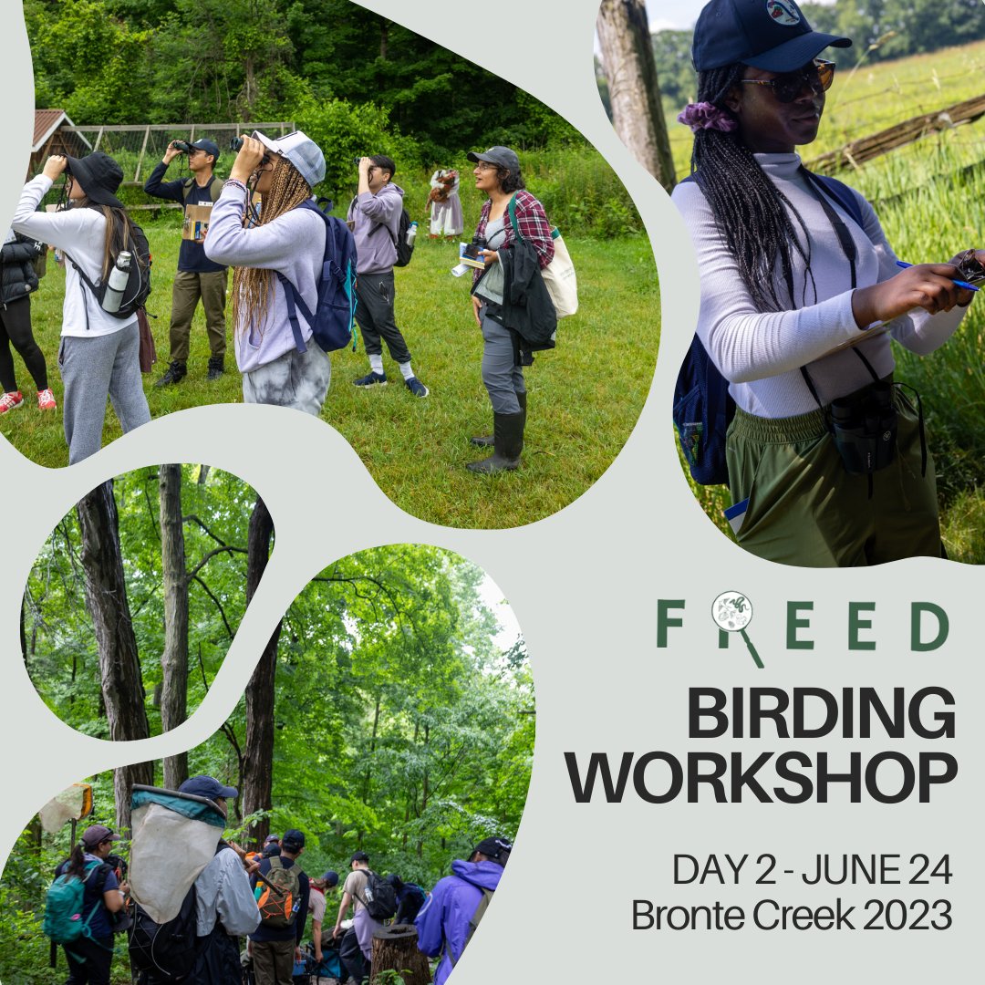 FREED_fieldwork's tweet photo. We hosted our second event of the year from Jun 23-25
@OntarioParks and had an amazing time with numerous workshops!   
All photo credits go to Alex Abdel. 

To learn more about FREED, go to https://t.co/Ka4QPFWRnV 

💚 

#fieldwork #ecologyjobs #student #edi #equity #bipoc https://t.co/8hxbb7iFOd