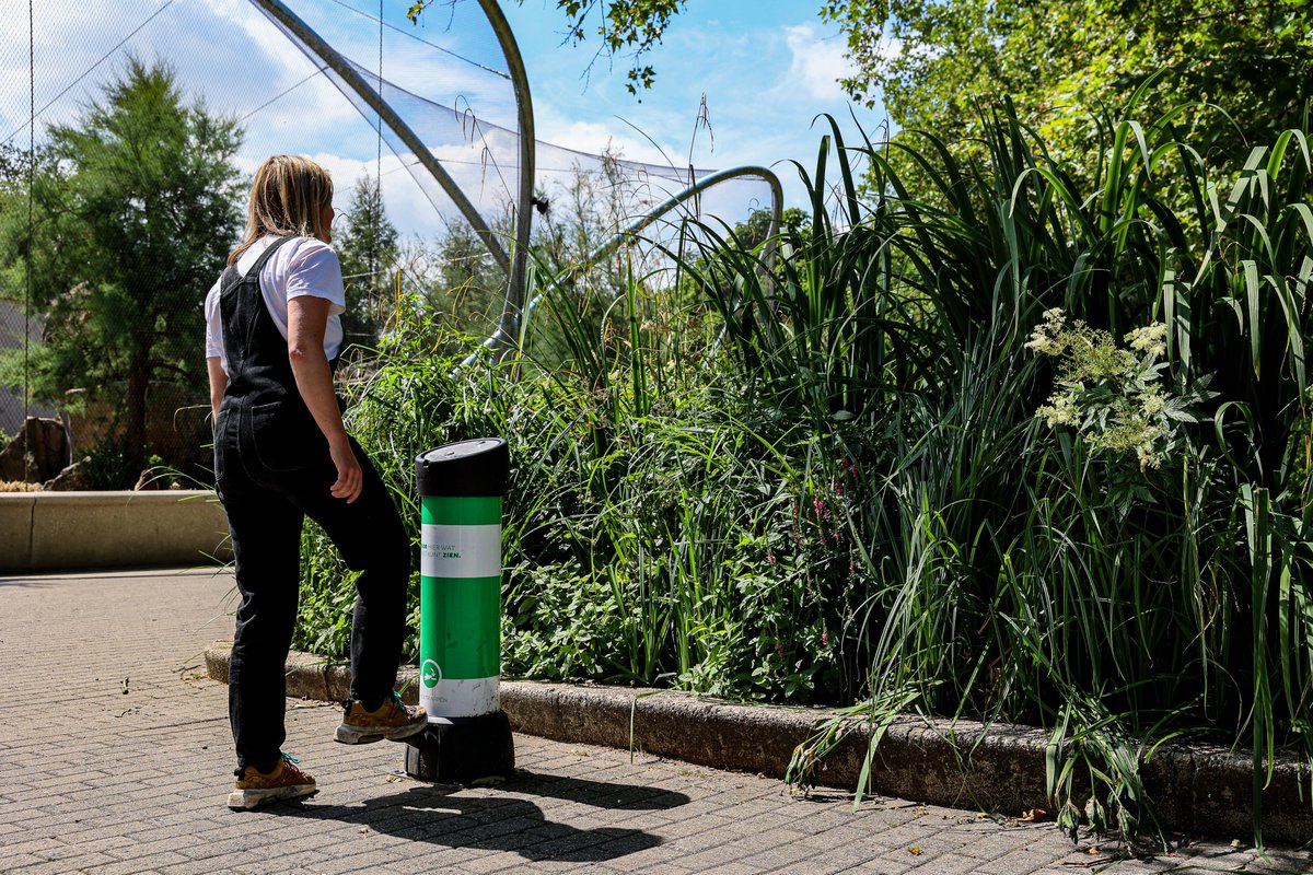VPdeltaNL's tweet photo. 💧In ons fieldlab @RotterdamZoo wordt #regenwater gezuiverd door het biofiltersysteem van #FieldFactors, zodat het hergebruikt kan worden voor dieren en planten. Hierdoor bespaard de dierentuin jaarijks 9000m3 kraanwater. Lees hier meer: https://t.co/wIGBNpRFce https://t.co/PxvxKcEFzW