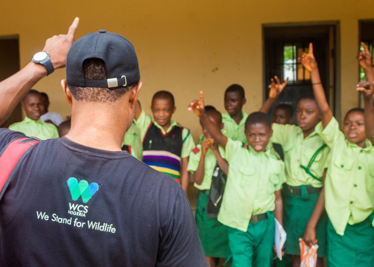 EUinNigeria's tweet photo. Conservation education plays an important role in our work to save the Cross River gorilla &amp; other endangered wildlife in Nigeria. @EUinNigeria has supported @WCS_Nigeria in establishing over 100 conservation clubs in schools around Cross River National Park. #WeStandforWildlife https://t.co/WORN04hk4J