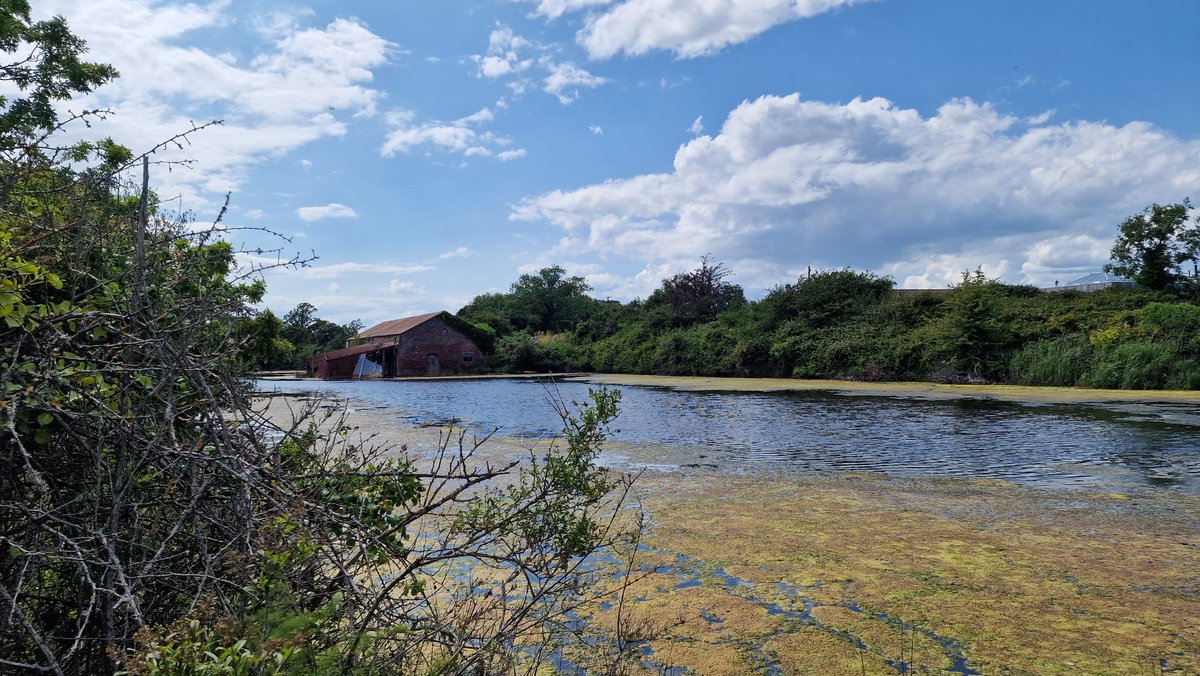 pickingill's tweet photo. #bembridgelagoons #isleofwight https://t.co/UHwykILQfp