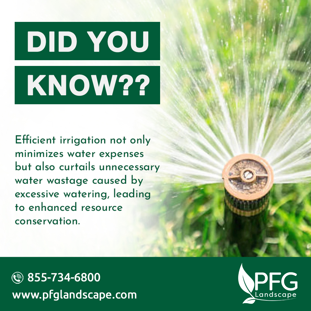Water conservation is not only about saving money, but also protecting our precious resources! 

Together, we can thrive while preserving our planet for future generations. 🌎💧 

#PFGLandscape #landscapingservices #irrigationservices