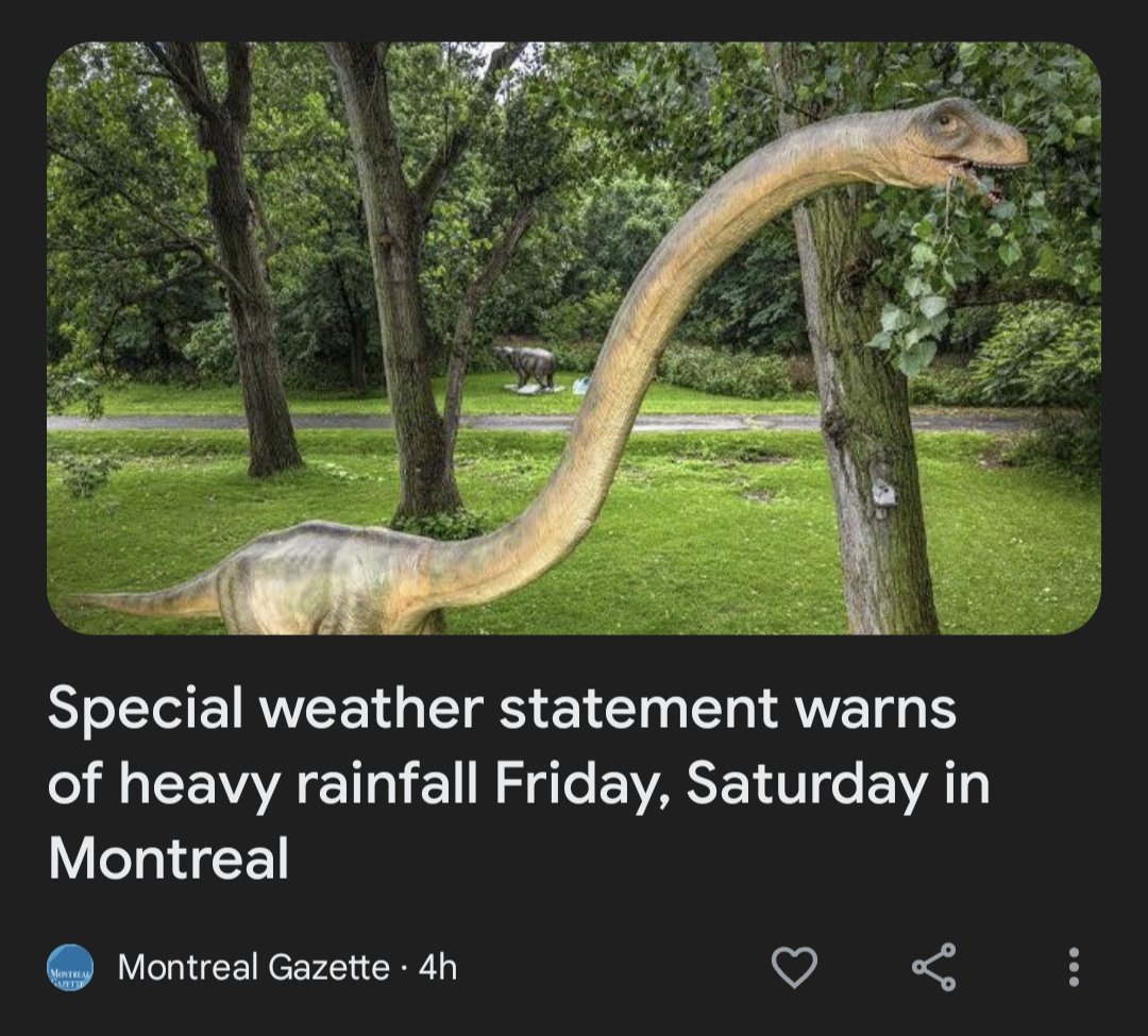 I have questions, Montreal Gazette