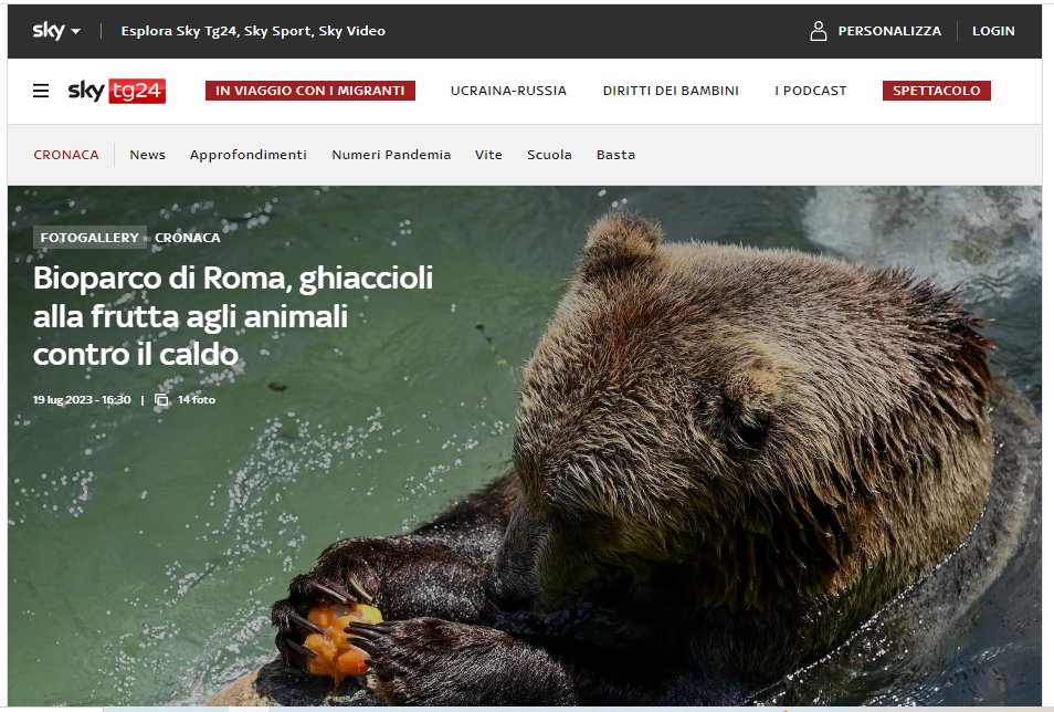 Francesco Paolo Meo (@4606ip) on Twitter photo 