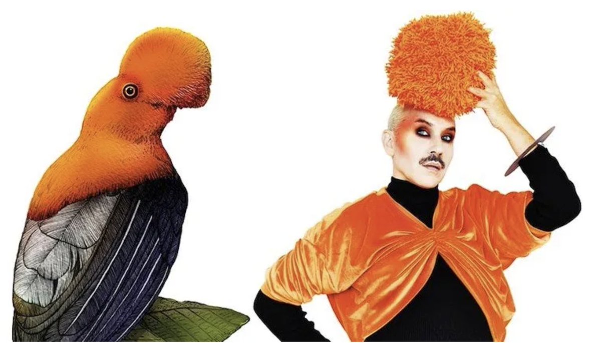 HeartofGlass tweet media