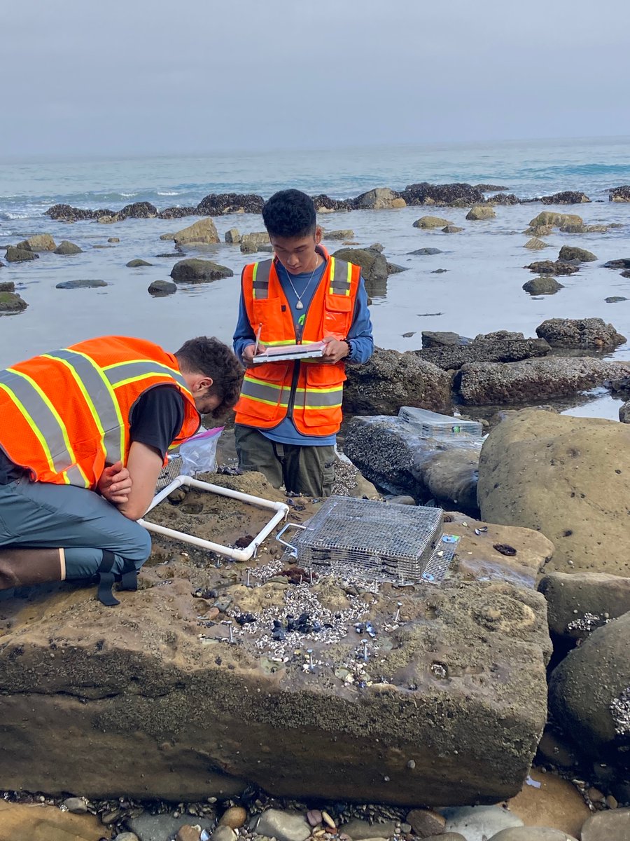 Cascade Sorte tweet media