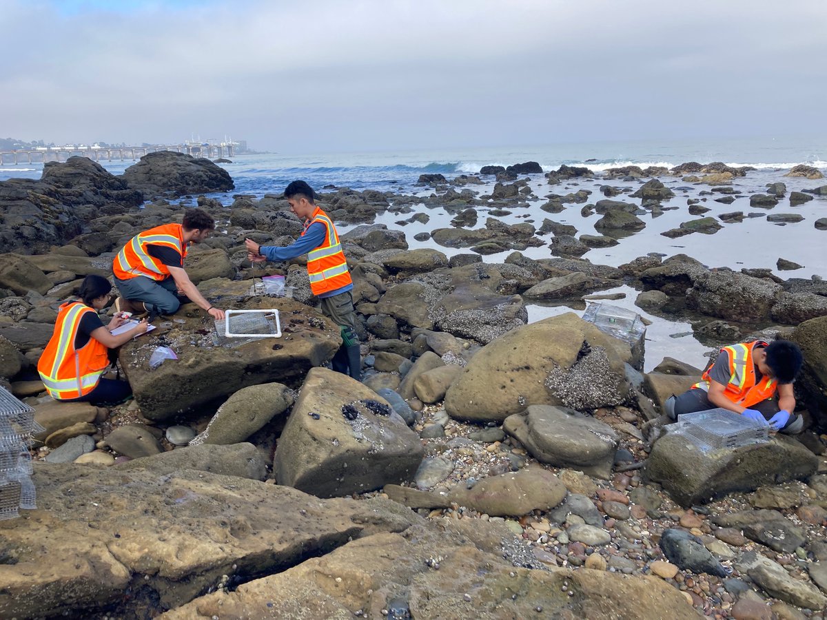 Cascade Sorte tweet media