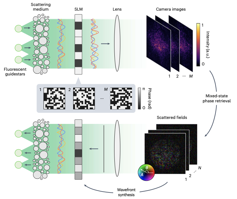 comedialkb's tweet photo. #FreshOutOfThePress
"Phase conjugation with spatially incoherent light in complex media" in @NaturePhotonics
By our one and only 🚀 Dr. YoonSeok Baek 🚀
https://t.co/yTaj8pSPRG https://t.co/rNtHJa04Kc