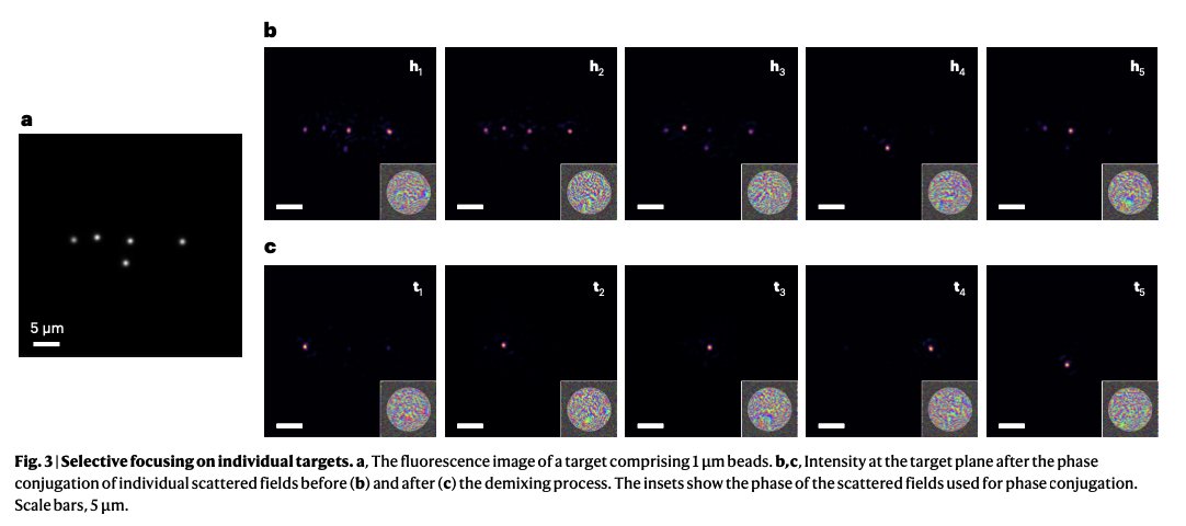 Complex Media Optics Lab (@comedialkb) on Twitter photo #FreshOutOfThePress
"Phase conjugation with spatially incoherent light in complex media" in <a href="/NaturePhotonics/">Nature Photonics</a>
By our one and only 🚀 Dr. YoonSeok Baek 🚀
nature.com/articles/s4156… #FreshOutOfThePress
"Phase conjugation with spatially incoherent light in complex media" in <a href="/NaturePhotonics/">Nature Photonics</a>
By our one and only 🚀 Dr. YoonSeok Baek 🚀
nature.com/articles/s4156…