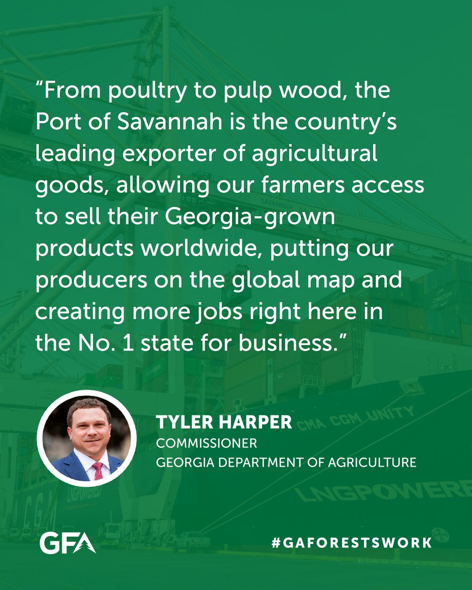 GeorgiaForestry's tweet photo. Georgia is the #1forestrystate, and the leading exporter of more than 20 forest product types. Thanks to sustainable practices and innovative manufacturing, our forest products are reaching global markets. LEARN MORE: https://t.co/oQNUM2ITRI
@GaDeptAg @rayonier #gaforestswork https://t.co/XZwwpA33qv