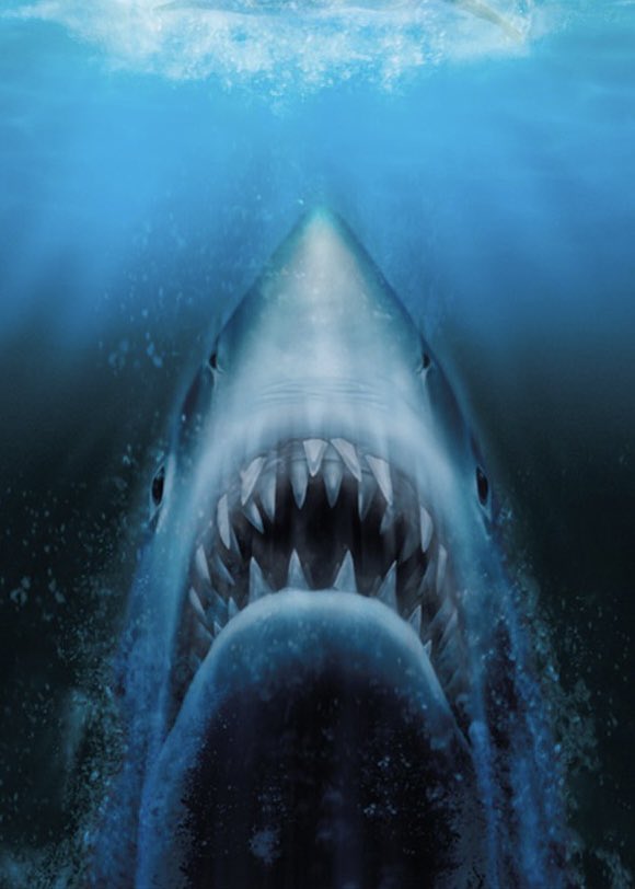 „They’re the same picture“ 😁😁😁

Pic.: vampster.com 
#livepic #concertphotography #jaws  #weißerhai #derweißehai #shark #whiteshark #großerweißerhai #vitoc #longhair #langehaare #bart #bärtig #longhair #musicianslife #onstage